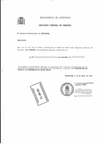 Criminal Record Spain